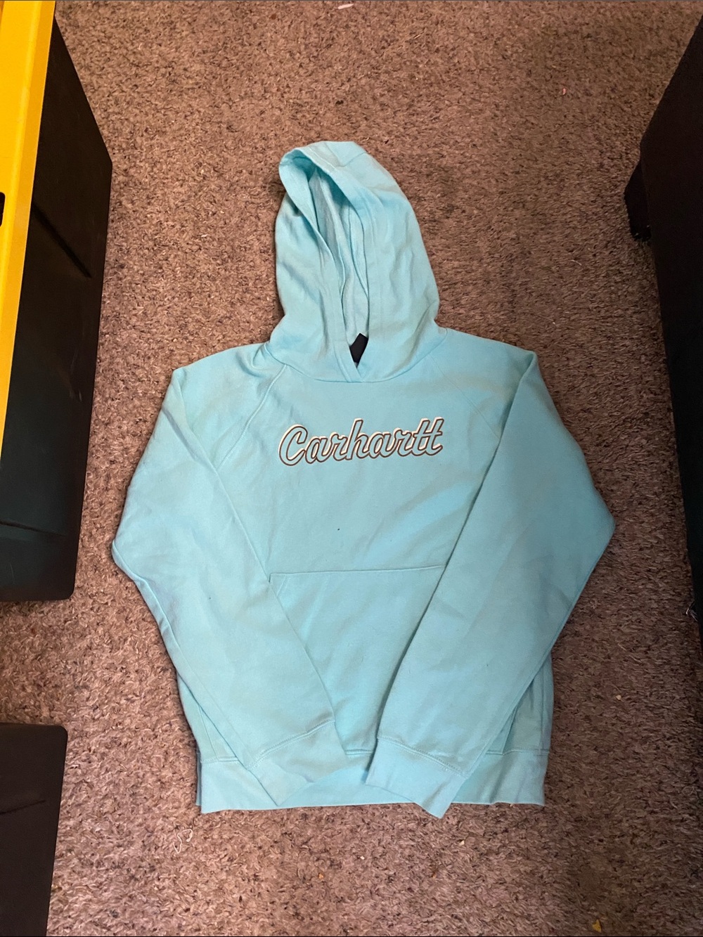 Carhartt Youth Aqua Pullover Hoodie with Script Logo